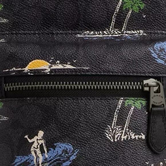 NWT Coach Waistpack Signature Canvas Surf Print CBJ12 Charcoal Multi - Picture 5 of 8